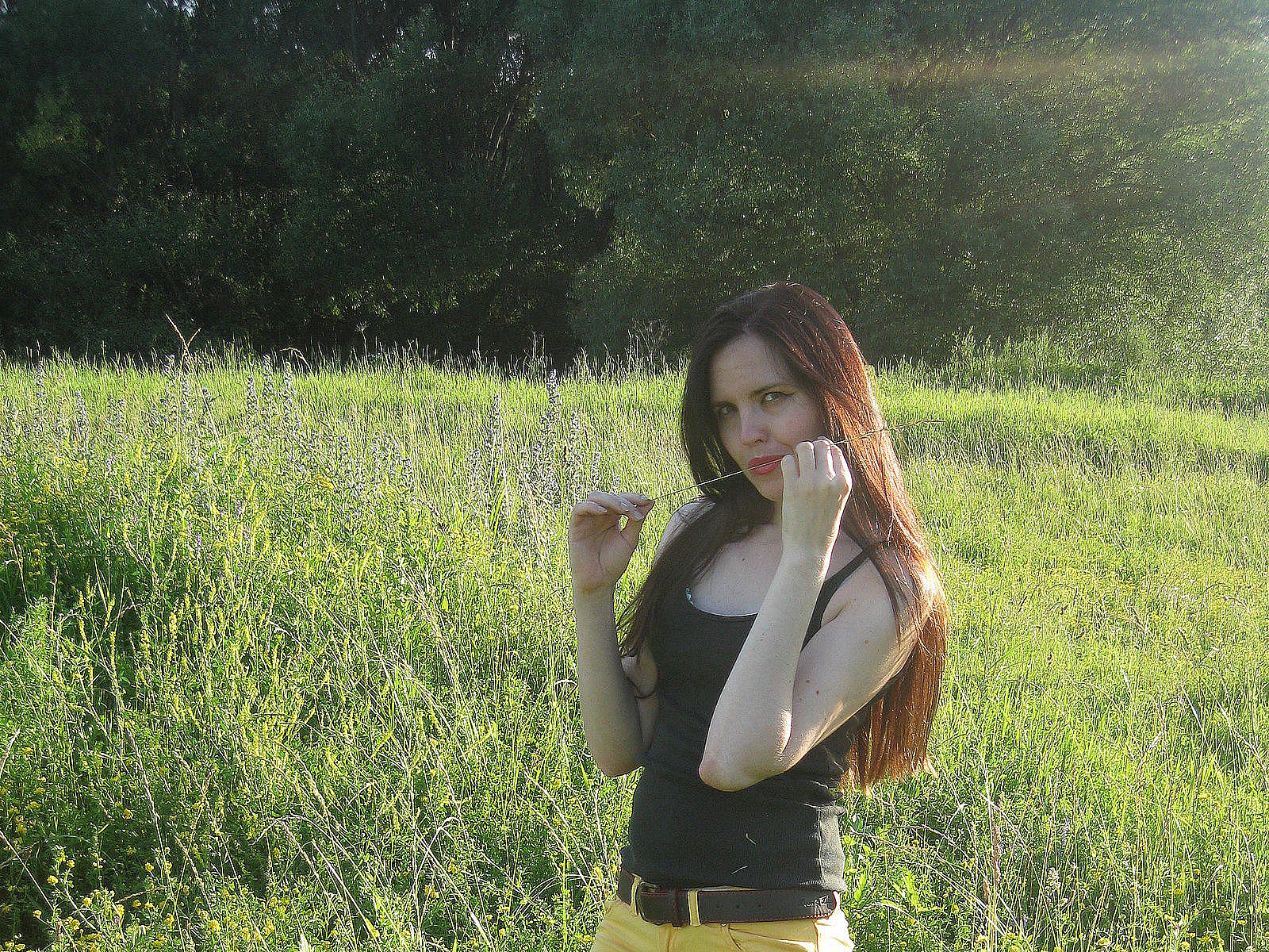 crazy-lily-007